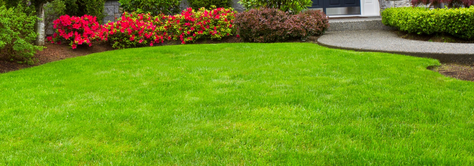 Custom My Yard